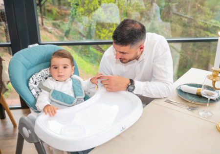 Picture for category Feeding chairs