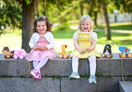 Picture for category Toys