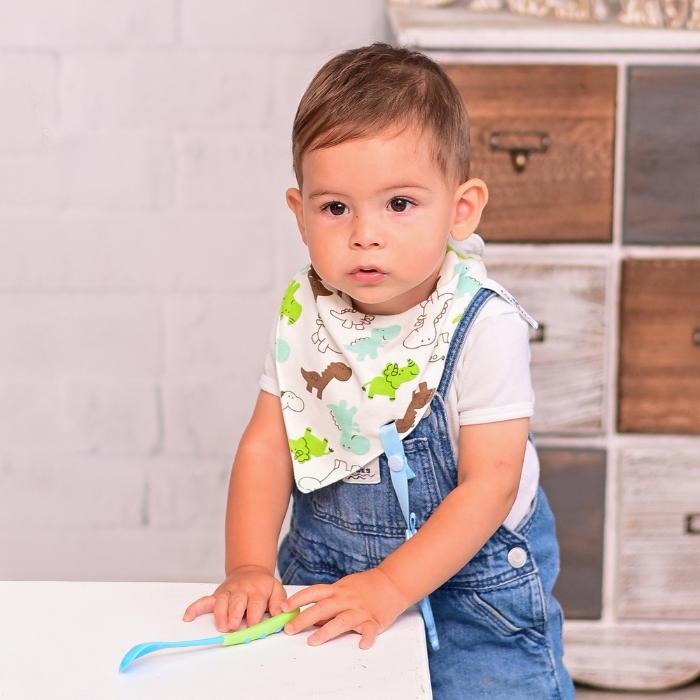 Picture of Bib BANDANA with teether + ribbon