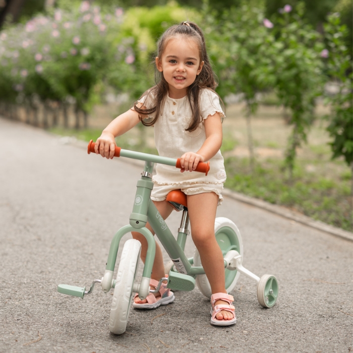 Picture of Balance bike ENERGY 2in1