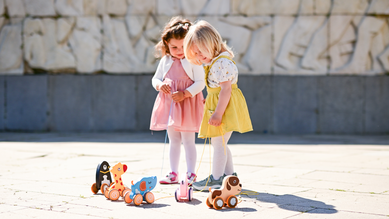 Picture of Pull-Along Toy