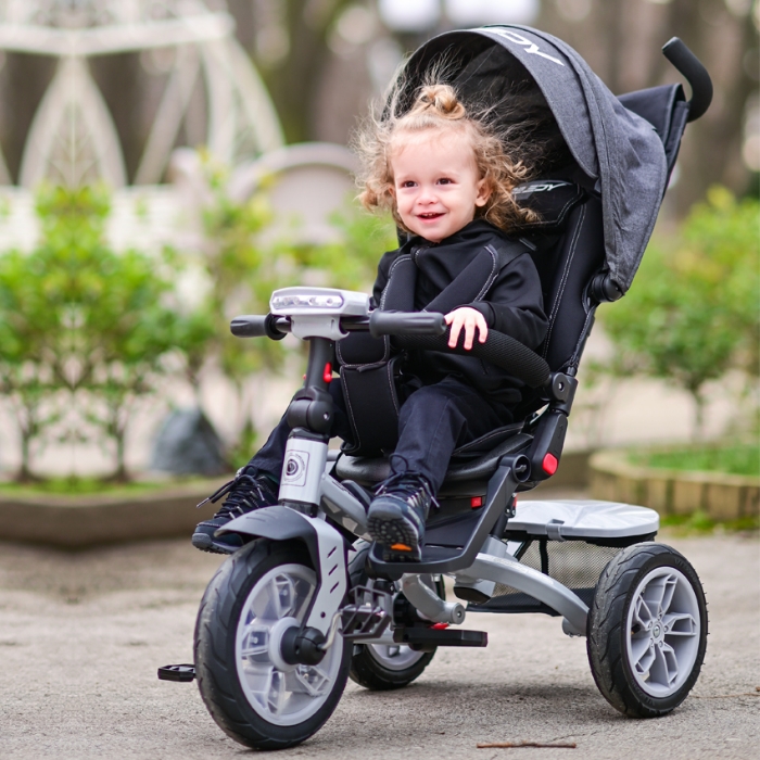 Picture of Tricycle SPEEDY