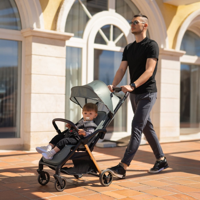 Picture of Baby stroller LORET